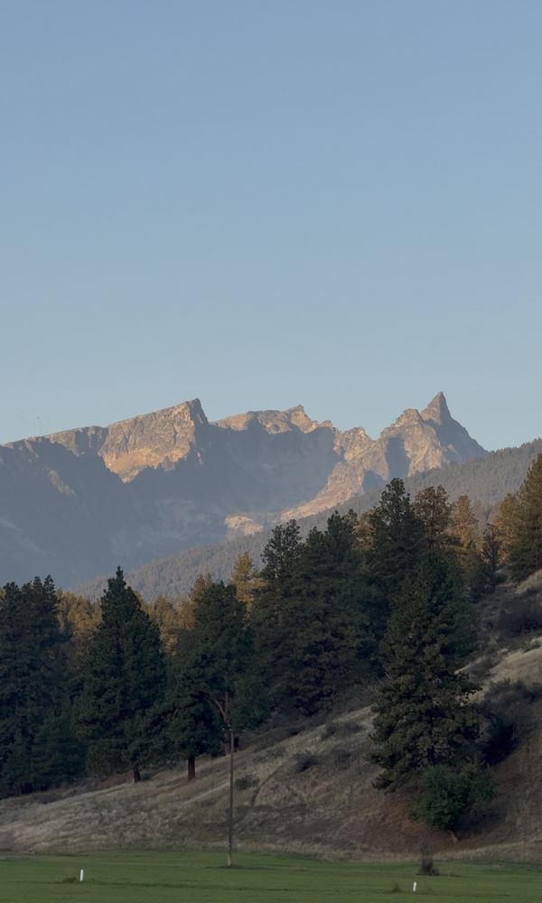 Jagged peaks at golden hour above a pine forest